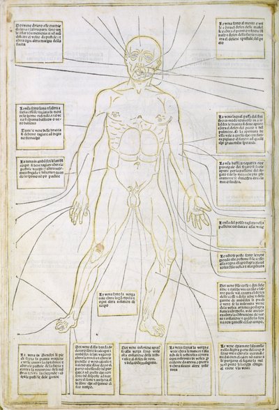 Illustrasjon fra 