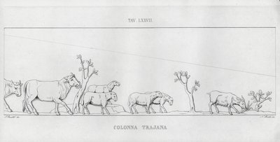 Trajans søyle, Trajans søyle (gravering) av Italian School