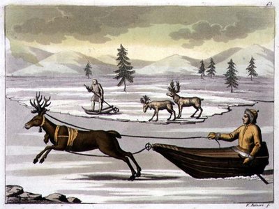 Hann- og hunnreinsdyr og en lappfisk på sleden hans trukket av et reinsdyr, plate 43 fra 