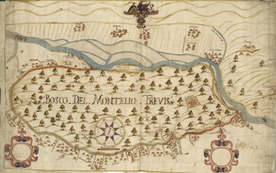 Montello, kart, XVIII århundre, Veneto, Italia av Italian School