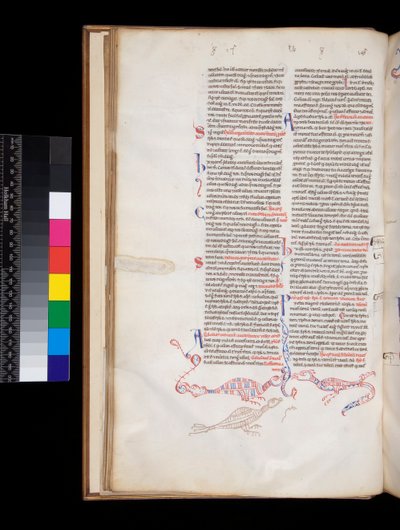 Ms 164. Peter Lombar, Sententiae, f.15v. bas-de-page penn-arbeid dekorasjon utviklet seg til fugl/drage hybrider av Italian School