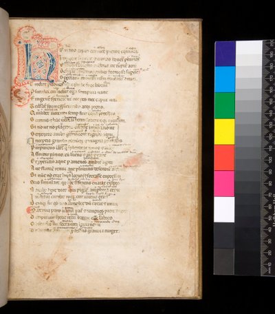 Ms 315. Horace, Ars Poetica og Epistulae, f.1r. Dekorert initial [N] i blått og rødt bleiefyll og omkringliggende penneverk i rødt av Italian School