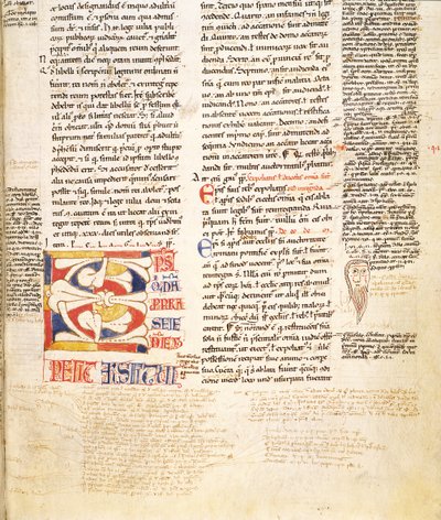 Ms. McClean 135, f.96r: detalj av en planteform historikert initial C fra Gratians Decretum, sent på 1100-tallet av Italian School
