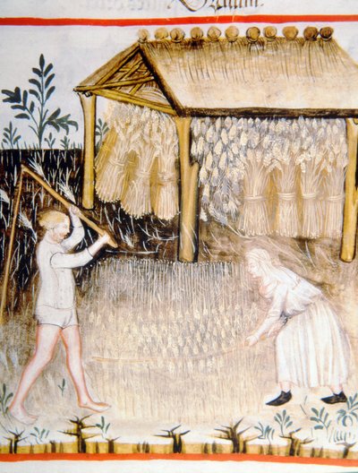 Nova 2644 fol.44r Treskebygg, fra Tacuinum Sanitatis av Italian School