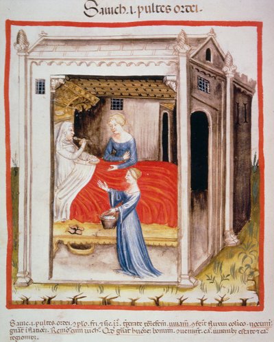 Nova 2644 fol.44v Smaker byggsuppe, fra Tacuinum Sanitatis av Italian School