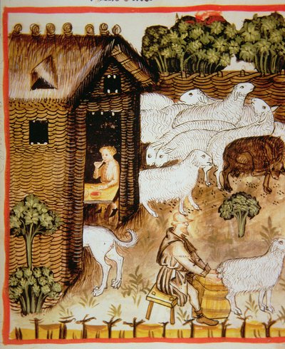 Nova 2644 fol.59r Sauehold: søtmelk, fra Tacuinum Sanitatis av Italian School