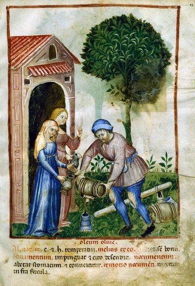 Olivenolje, miniatyr fra Tacuinum Sanitatis, latinsk utgave av Italian School