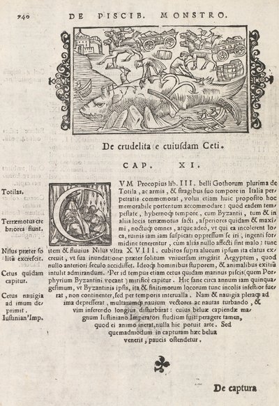 Side 740 fra Nordens historie av Magnus Olaus, Roma 1565 (trykk og gravering) av Italian School