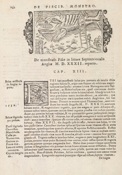 Side 742 fra History of the Northern Gentivus av Magnus Olaus, Roma 1565 (trykk og gravering) av Italian School