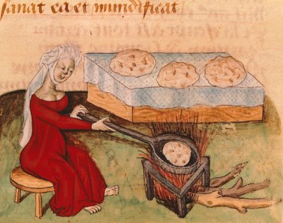 Side fra Tractatus de Herbis av Dioscorides Pedanius av Italian School