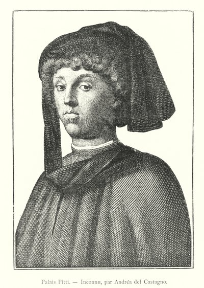 Palais Pitti, Inconnu / av Andrea del Castagno (gravering) av Italian School