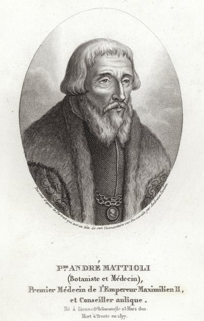 Pietro Andrea Mattioli av Italian School