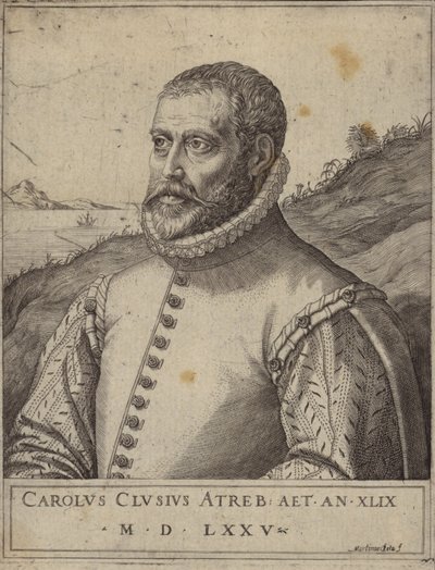 Portrett av Carolus Clusius av Italian School