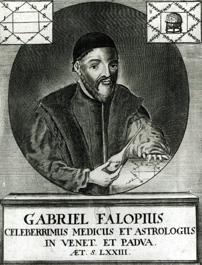 Portrett av Gabriel Fallopius (1523-62) av Italian School