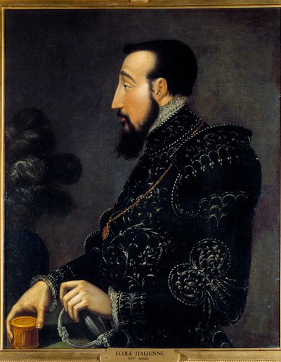 Portrett av Henrik II, konge av Frankrike (1519-1559) Maleri av den italienske skolen. Det 16. århundre. Søn 0,58x0,46 m Chantilly, museum Conde av Italian School