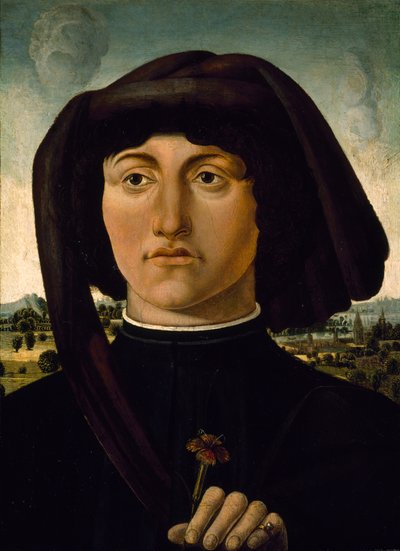 Portrett av en ung mann med en rosa blomst, ca. 1475-85 (tempera på tre) av Italian School