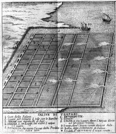Saltmyr i Trapani. illustrert tavle hentet fra "" Present State of Sicily "" av Arcangelo Leanti, Palermo 1761 av Italian School
