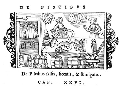 Salting, tørking og røyking av fisk, illustrasjon fra Historia de Gentibus Septentrionalibus av Olaus Magnus (1490-1558), utgitt i Roma, 1555 av Italian School