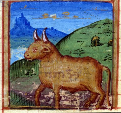 Tegn på oksen. Italiensk horoskop, midten av 1400-tallet. av Italian School