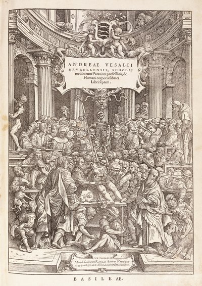 Forfatteren som gjennomfører en anatomisk disseksjon i et kirurgisk teater, 1543 av Italian School
