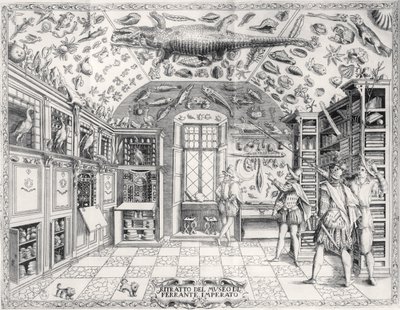 Naturhistorisk museum til keiser Ferdinand III fra Historia Naturale av Ferrante Imperato (1550-1631) pub. i 1672 av Italian School