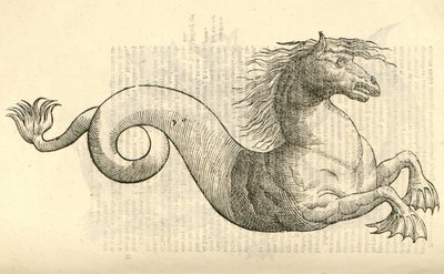illustrasjon av Equus marinus monstrosus fra Aldrovandis History of Monsters, 1642 av Italian School