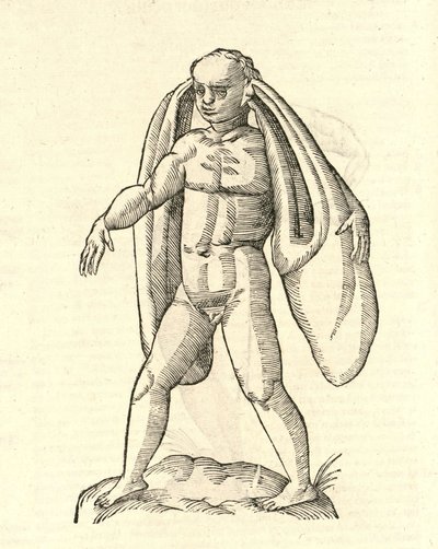 illustrasjon av Homo Fanesius auritus fra Aldrovandis History of Monsters, 1642 av Italian School