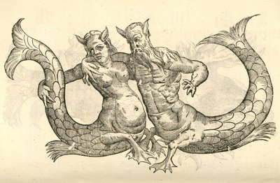 illustrasjon av Monstra Niliaca Parei fra Aldrovandis History of Monsters, 1642 av Italian School