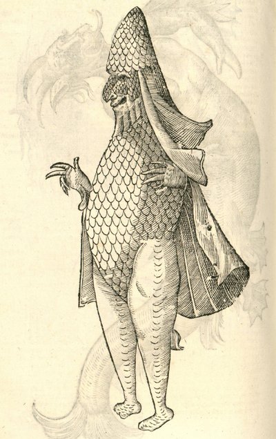 illustrasjon av Monstro Marinus fra Aldrovandis History of Monsters, 1642 av Italian School