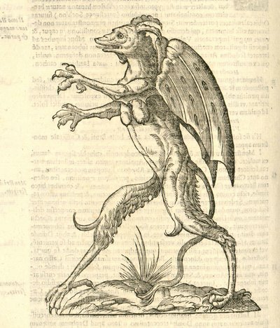 illustrasjon av et bevinget og hornet monster som en demon fra Aldrovandis History of Monsters, 1642 av Italian School