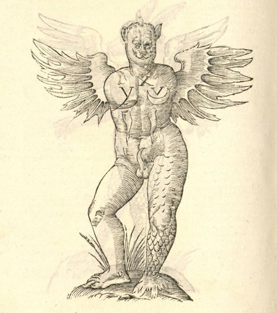 illustrasjon av et bevinget monster fra Aldrovandis History of Monsters, 1642 av Italian School