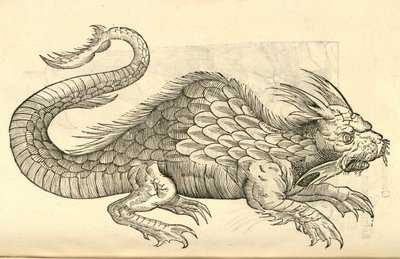illustrasjon av Orobonis Piscis-bilder fra Aldrovandis History of Monsters, 1642 av Italian School