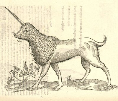 illustrasjon av en Camphurch fra Aldrovandis History of Monsters, 1642 av Italian School