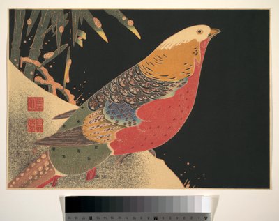  av Ito Jakuchu