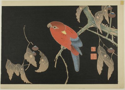 av Ito Jakuchu