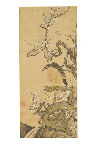 Umetaka-zu (hauk på en blomstrende plommegren) av Ito Jakuchu