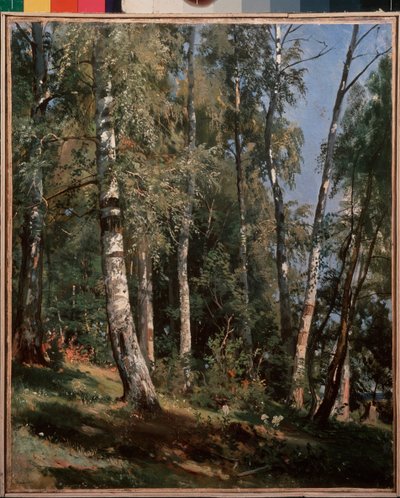 Birch grove (Birch grove) - Maleri av Ivan Ivanovich Shishkin (Shishkin) (1832-1898), olje på lerret av Ivan Ivanovich Shishkin