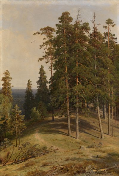 Furuskogen, 1895 av Ivan Ivanovich Shishkin