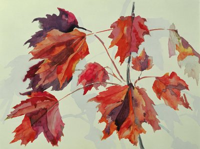 No.24 Autumn Maple Leaves (wc) av Izabella Godlewska de Aranda