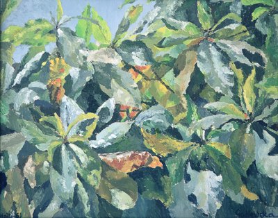 Planter, 1961 av Izabella Godlewska de Aranda
