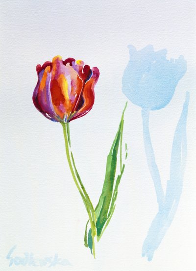 Tulip, 1998 (wc på papir) (se også 124446 og 124447) av Izabella Godlewska de Aranda