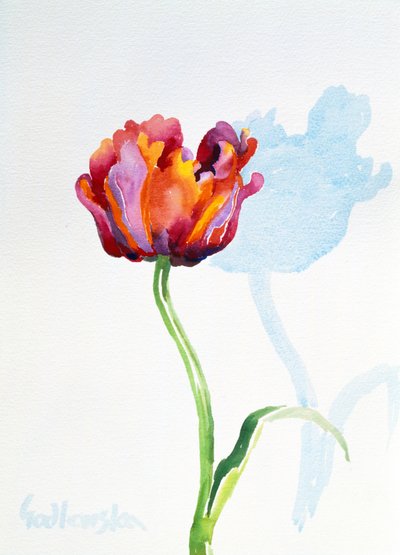 Tulip, 1998 (wc på papir) (se også 124446 og 124448) av Izabella Godlewska de Aranda