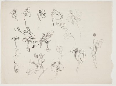 Blomsterskitser av J.A. Jerichau