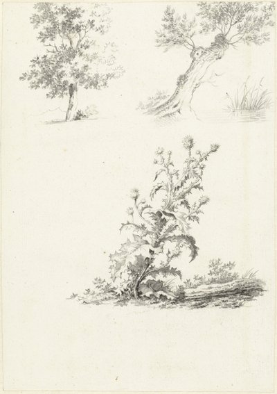 To studier av et tre og en tistel av J.B. Joss (attributed to)