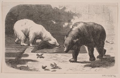 Bjørner i Jardin des Plantes av J.C. Nielsen