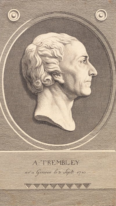 Relieffmedaljong med portrett av zoologen Abraham Trembley av J.F. Clemens