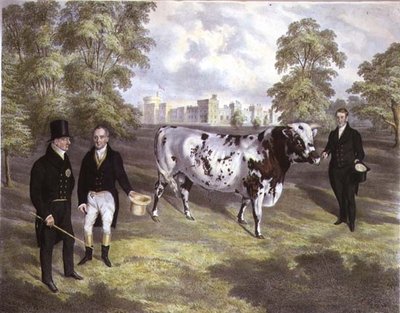 Sir Charles Morgan presenterer kong William IV for en Shorthorn Bull på Tredegar Castle, Monmouth, gravert av M. Gauci av J.H. (after) Carter