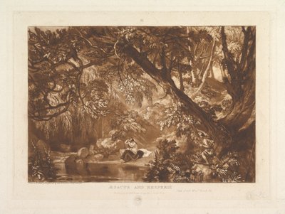 Aesacus and Hesperia, Video Ovid Metamorphoses, Bok XI Liber Studiorum, del X..., 1. januar 1819. av Joseph Mallord William Turner