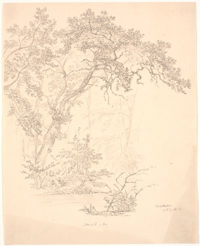 Trær av J.P. Møller