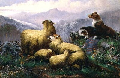 Sauehunder og sauer i det skotske høylandet av J.W. Morris